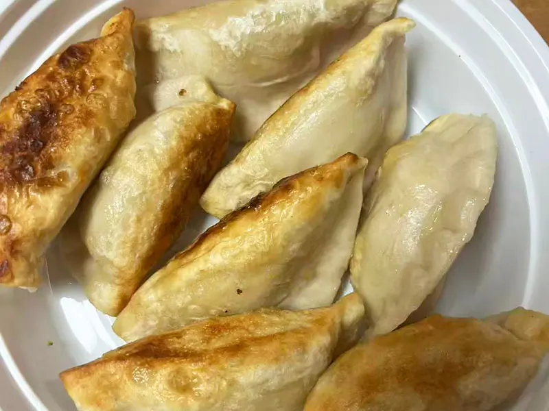 Fried Pork Dumpling